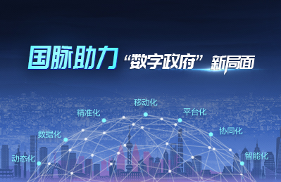 國脈助力數字政府新局面